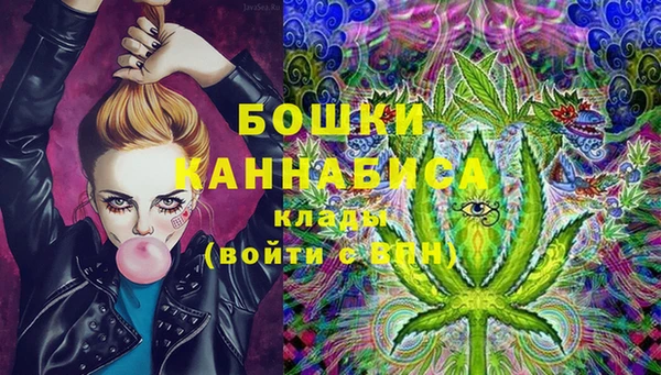 ГАЛЛЮЦИНОГЕННЫЕ ГРИБЫ Алзамай