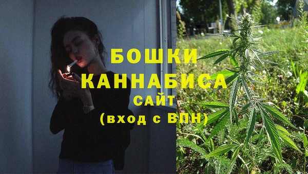 бошки Алексин